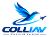 COLLIAV Escola de Aviação